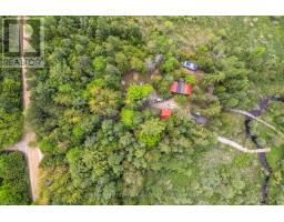 541503 Concession 14 Ndr, West Grey, ON N0G1L0 Photo 29