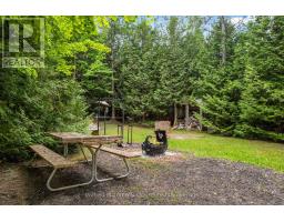 541503 Concession 14 Ndr, West Grey, ON N0G1L0 Photo 30