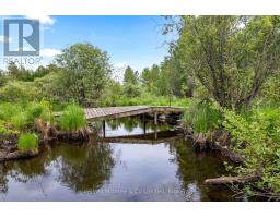 541503 Concession 14 Ndr, West Grey, ON N0G1L0 Photo 38