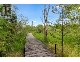 541503 Concession 14 Ndr, West Grey, ON N0G1L0 Photo 39