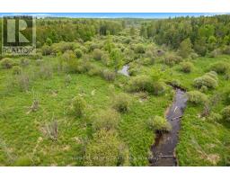 541503 Concession 14 Ndr, West Grey, ON N0G1L0 Photo 40