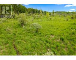 541503 Concession 14 Ndr, West Grey, ON N0G1L0 Photo 41