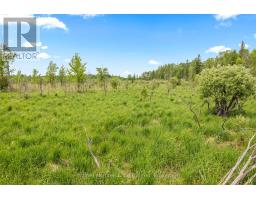 541503 Concession 14 Ndr, West Grey, ON N0G1L0 Photo 42