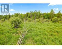 541503 Concession 14 Ndr, West Grey, ON N0G1L0 Photo 43