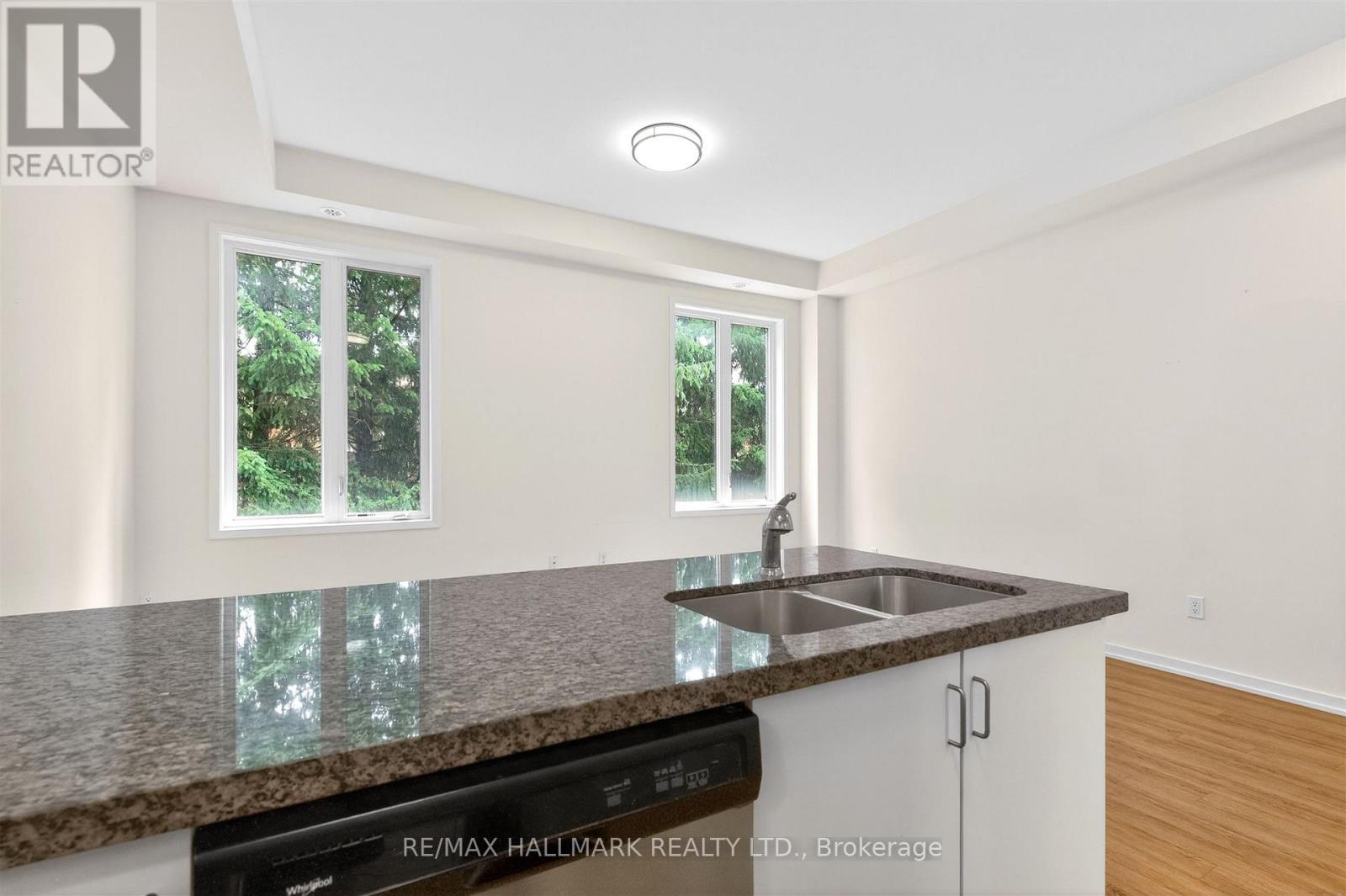 62 PANTHEON LANE - 18