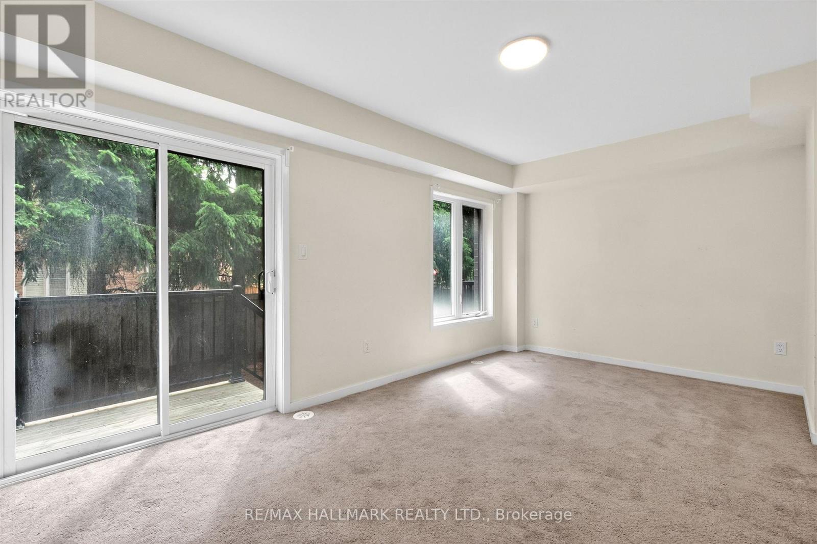62 PANTHEON LANE - 20