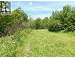 1530 Rue Chatillon, Maisonnette, NB E8N1S7 Photo 15
