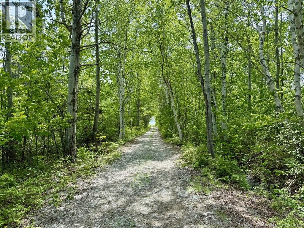 1530 Rue Chatillon - Image 16