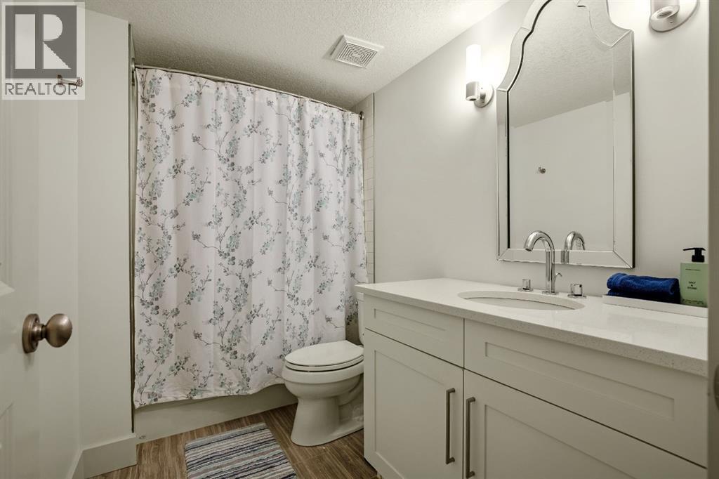 Modern Basement Bathroom