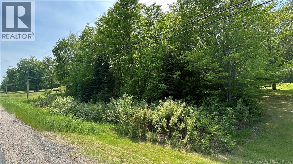 LOT Route 135, Trudel — photo 2