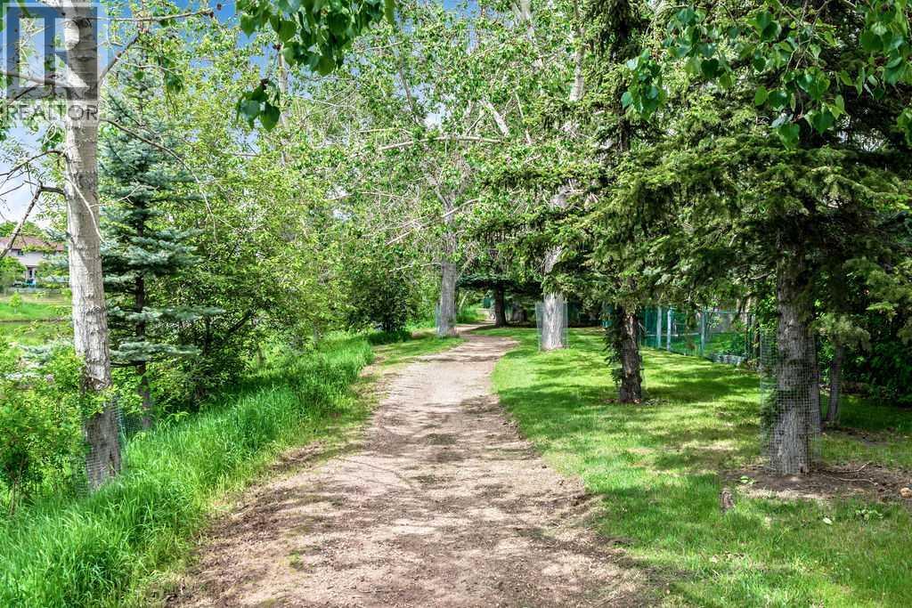 Walking Paths