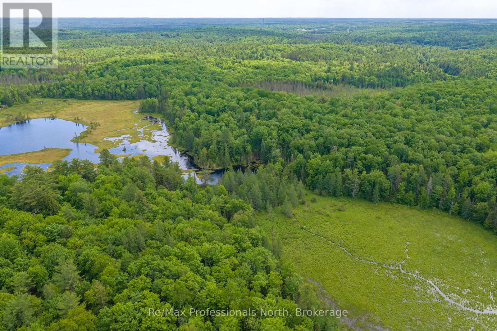 163 ROSE LAKE ROAD - Image 41