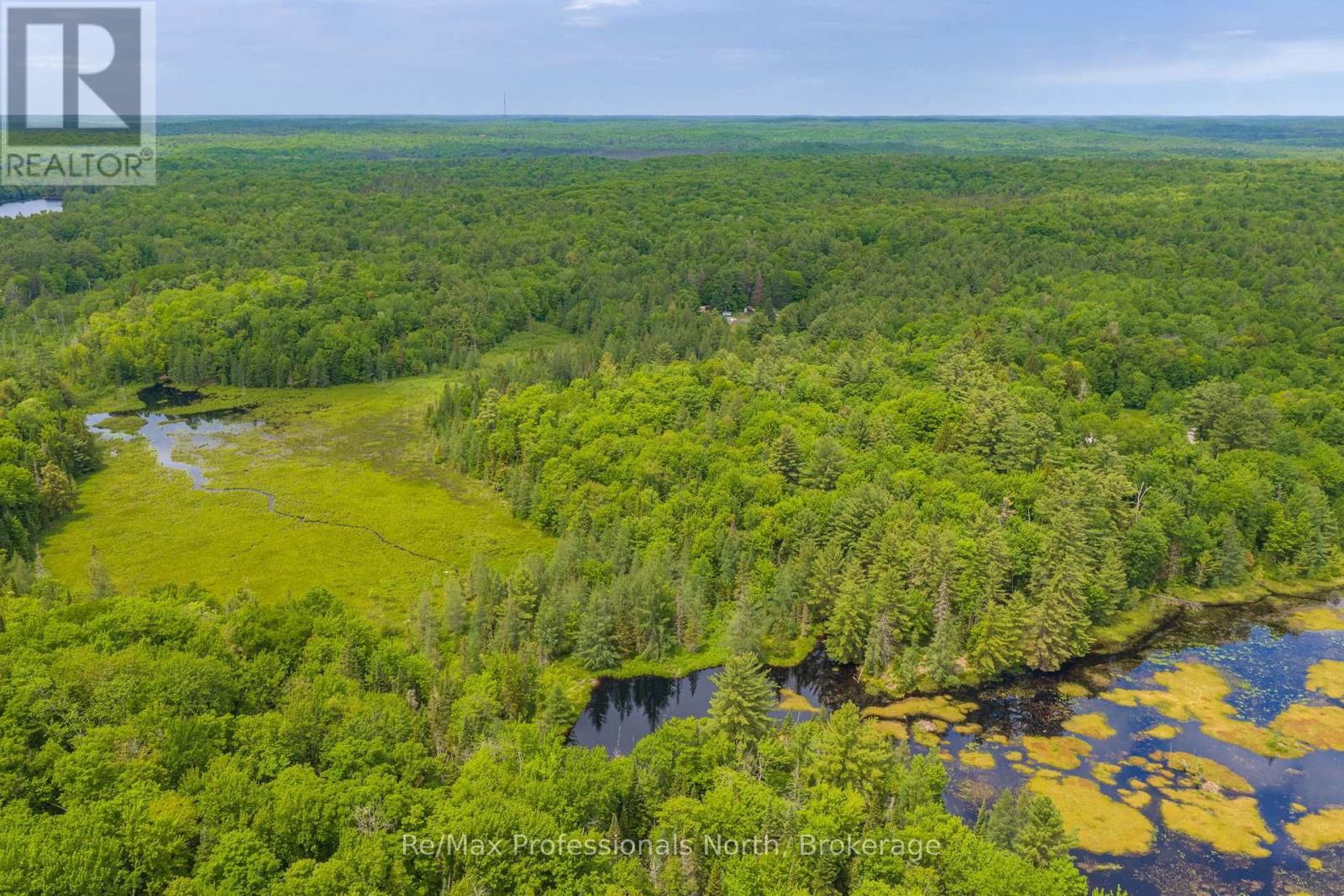 163 ROSE LAKE ROAD - Image 42