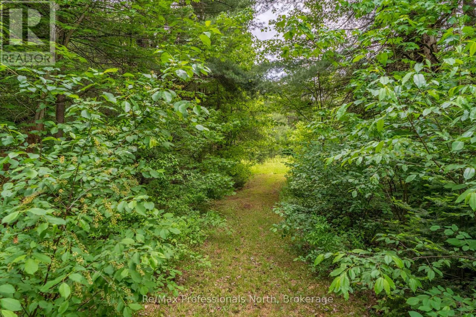 163 ROSE LAKE ROAD - Image 45