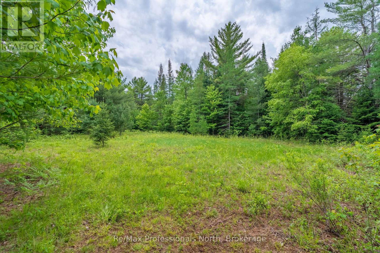163 ROSE LAKE ROAD - Image 46