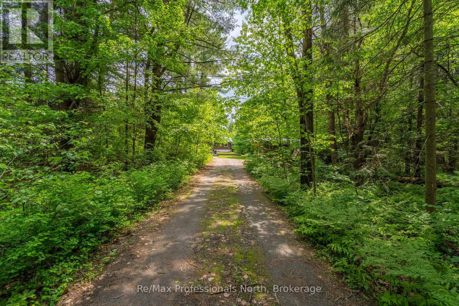 163 ROSE LAKE ROAD - Image 47