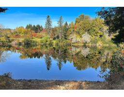 41g Ch. Des Cabines De La Chute, Mansfield Et Pontefract, QC J0X1R0 Photo 28