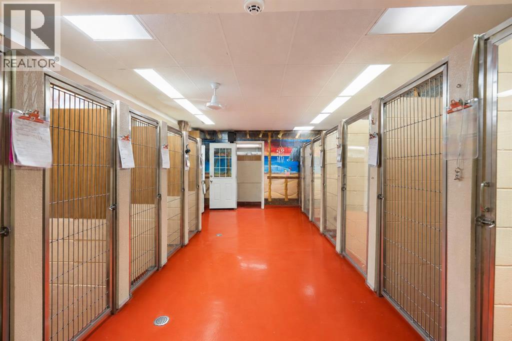 Kennels