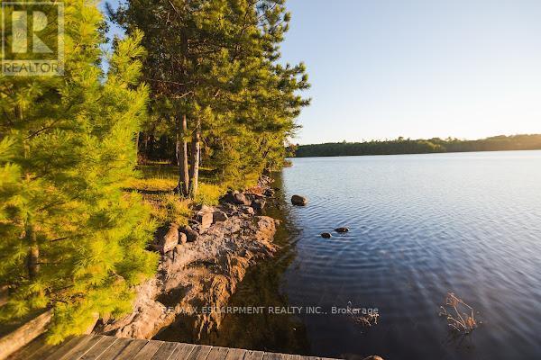 372 GUNTER LAKE ROAD - 40