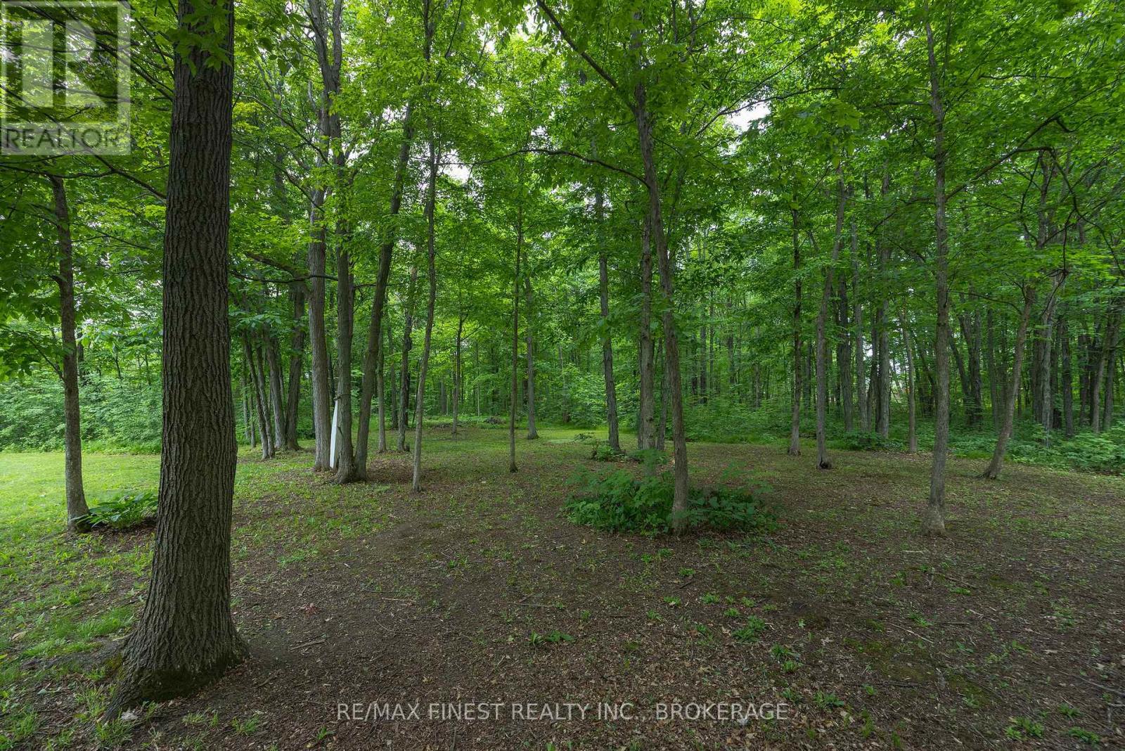 3886 HOLMES ROAD - 46