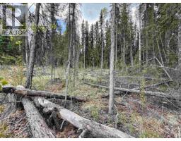 7562 Womack Road, 100 Mile House, BC V0K1X3 Photo 27