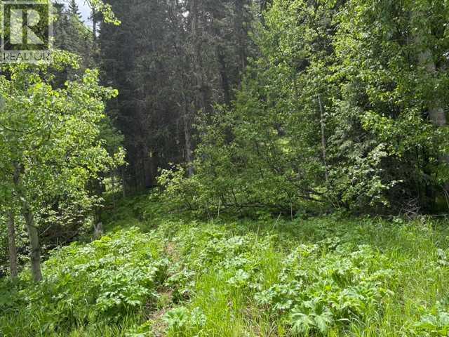 229 Mountain Lion Drive - photo 3