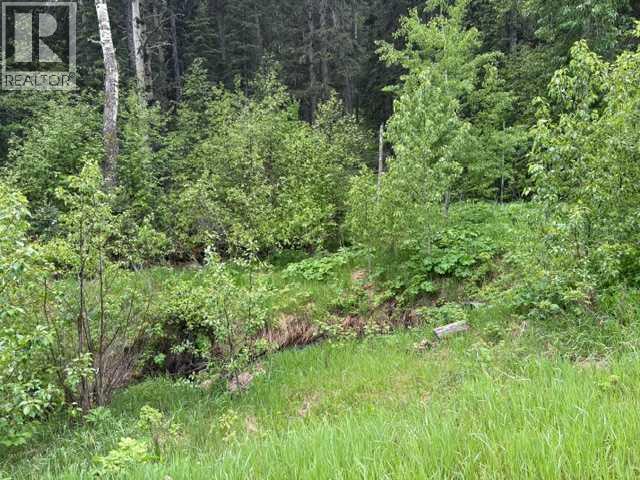 229 Mountain Lion Drive - photo 4