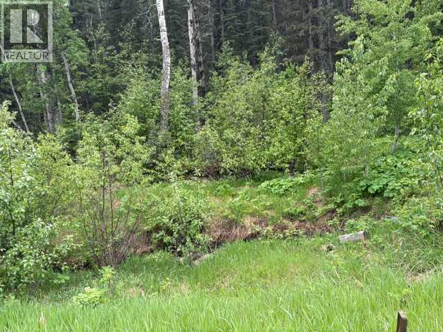 229 Mountain Lion Drive - photo 5