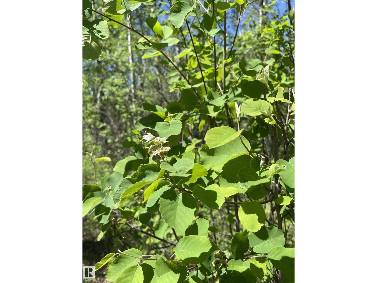 57318 Rge Rd 25 - 23