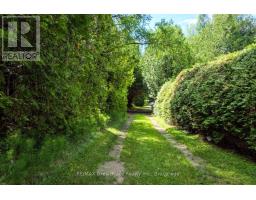 11 Eldridge Avenue, South Bruce Peninsula, ON N0H2G0 Photo 38