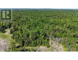 0 Foymount Road, Bonnechere Valley, ON K0J1T0 Photo 21