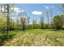 Pt Lt 12 Part 1 18 Grey Road, Meaford, ON N4L1W5 Photo 7