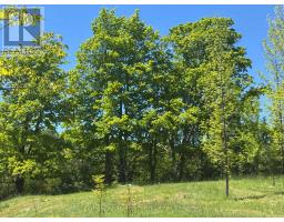 Pt Lt 12 Part 1 18 Grey Road, Meaford, ON N4L1W5 Photo 9
