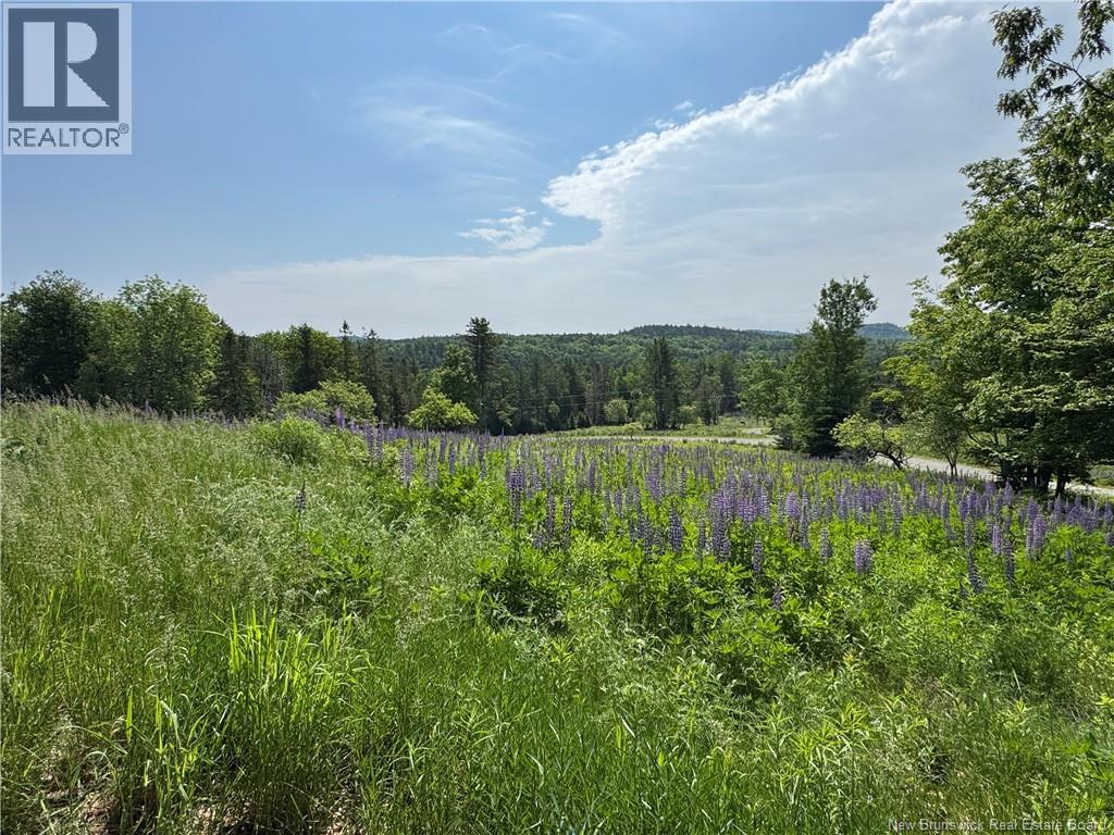 35 Hills Road - 22