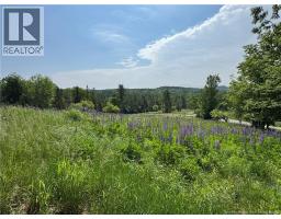 35 Hills Road, Oak Bay, NB E3L4K6 Photo 22
