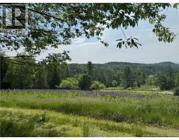 35 Hills Road, Oak Bay, NB E3L4K6 Photo 20