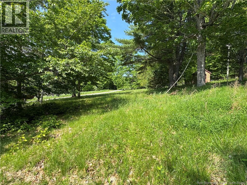 35 Hills Road - 21
