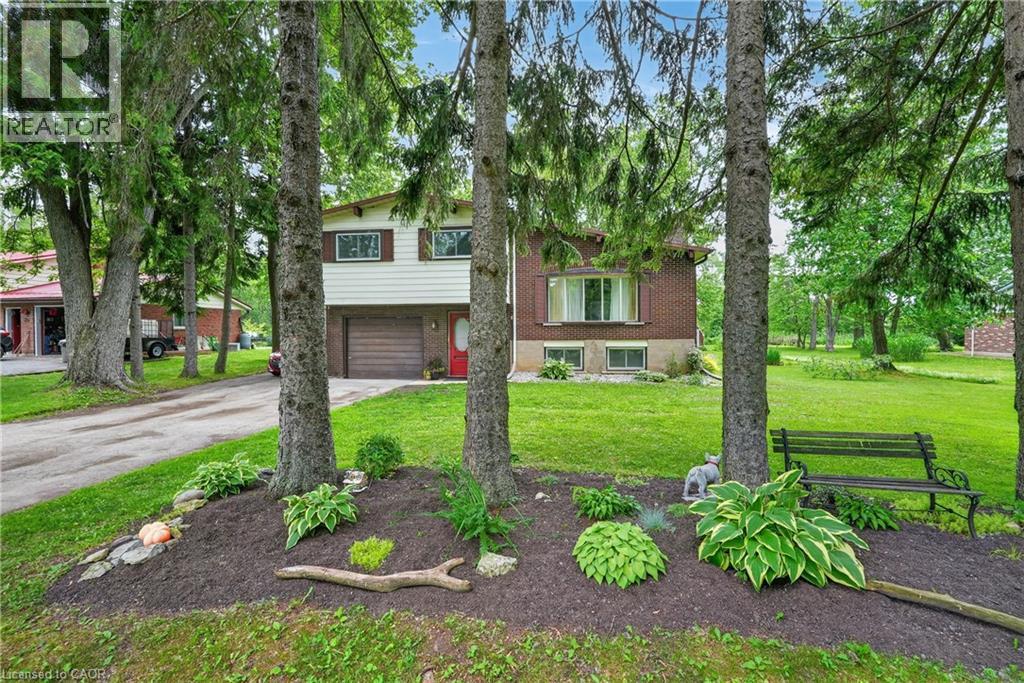 124 MUMBY Road - 3