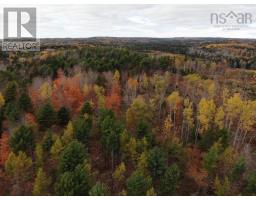 Feener Road, Farmington, NS B0R1A0 Photo 17