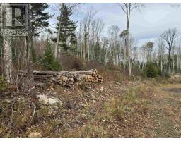 Feener Road, Farmington, NS B0R1A0 Photo 10