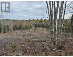 Feener Road, Farmington, NS B0R1A0 Photo 7