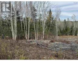 Feener Road, Farmington, NS B0R1A0 Photo 8