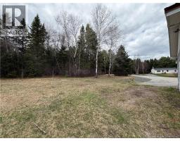 16 Hallihan Lane, Blackville, NB E9B2G7 Photo 35