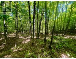 Pt Lt's 5 & 6 Foymount Road, Bonnechere Valley, ON K0J1W0 Photo 10