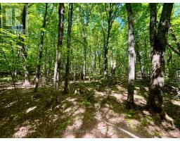 Pt Lt's 5 & 6 Foymount Road, Bonnechere Valley, ON K0J1W0 Photo 12