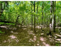 Pt Lt's 5 & 6 Foymount Road, Bonnechere Valley, ON K0J1W0 Photo 13