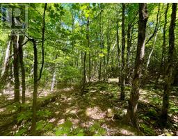 Pt Lt's 5 & 6 Foymount Road, Bonnechere Valley, ON K0J1W0 Photo 14