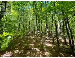 Pt Lt's 5 & 6 Foymount Road, Bonnechere Valley, ON K0J1W0 Photo 15