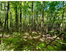 Pt Lt's 5 & 6 Foymount Road, Bonnechere Valley, ON K0J1W0 Photo 16
