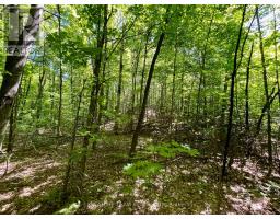 Pt Lt's 5 & 6 Foymount Road, Bonnechere Valley, ON K0J1W0 Photo 18
